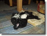 odpoledn� siesta